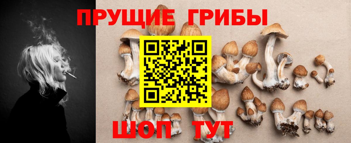 Галлюциногенные грибы мицелий Амурск